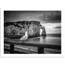 “THE GUARDIAN of ETRETAT” ©️