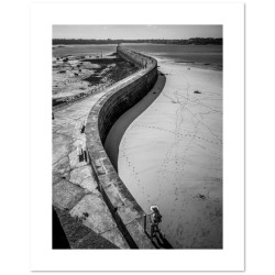 "Le serpent de Saint Malo" ©