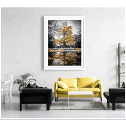 "L'arbre aux mille écus" Edition Gold ©