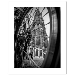 "Cathedral Notre Dame de...